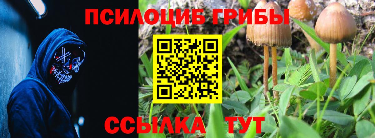Псилоцибиновые грибы GOLDEN TEACHER Борисоглебск