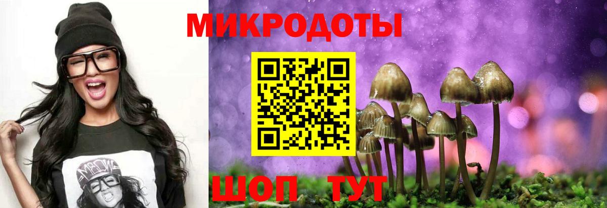 Галлюциногенные грибы прущие грибы  сколько стоит  Борисоглебск  Вход с VPN 